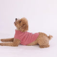 Gallery viewerに画像を読み込む, 【10月30日より順次発送】FLUFFY VEST フラッフィーベスト - pawdeadogwear