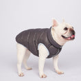 Gallery viewerに画像を読み込む, 【先行予約15%off】Ultra - Light Doggy Vest ウルトラライトドギーベスト 2024 - pawdeadogwear