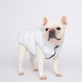 Gallery viewerに画像を読み込む, 【先行予約15%off】Ultra - Light Doggy Vest ウルトラライトドギーベスト 2024 - pawdeadogwear