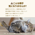 Gallery viewerに画像を読み込む, Bio Plus Pet バイオプラスペット - pawdeaPET SUPPLEMENT