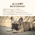 Gallery viewerに画像を読み込む, Joint Care Pet ジョイントケアペット - pawdeaPET SUPPLEMENT