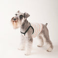 Gallery viewerに画像を読み込む, Summer Pup - Top サマーキャミソール - pawdeadogwear