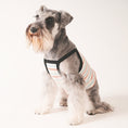 Gallery viewerに画像を読み込む, Summer Pup - Top サマーキャミソール - pawdeadogwear