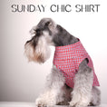 Gallery viewerに画像を読み込む, SUNDAY CHIC SHIRT サンデーシックシャツ - pawdea