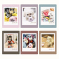 Gallery viewerに画像を読み込む, WOOL BALL マカロンウールボール - pawdeaおもちゃ