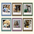 Gallery viewerに画像を読み込む, WOOL BALL マカロンウールボール - pawdeaおもちゃ