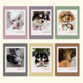 Gallery viewerに画像を読み込む, WOOL BALL マカロンウールボール - pawdeaおもちゃ