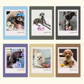 Gallery viewerに画像を読み込む, WOOL BALL マカロンウールボール - pawdeaおもちゃ