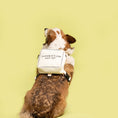 Gallery viewerに画像を読み込む, BACKPACK HARNESS - pawdeaペット用首輪・ハーネス