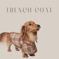 Gallery viewerに画像を読み込む, 【再入荷】DOGGY TRENCH COAT ドギートレンチコート - pawdeadogwear