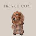Gallery viewerに画像を読み込む, 【再入荷】DOGGY TRENCH COAT ドギートレンチコート - pawdeadogwear