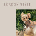 Gallery viewerに画像を読み込む, 【再入荷】DOGGY TRENCH COAT ドギートレンチコート - pawdeadogwear