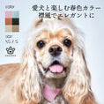 Gallery viewerに画像を読み込む, PERFETTO COLLAR NEO 本革製付け襟風首輪NEO - pawdea