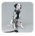 Gallery viewerに画像を読み込む, PERFETTO HARNESS PREMIUM - pawdeaペット用首輪・ハーネス