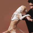 Gallery viewerに画像を読み込む, PERFETTO HARNESS - pawdeaペット用首輪・ハーネス