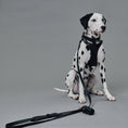 Gallery viewerに画像を読み込む, PERFETTO LEASH , PERFETTO COLLAR & POOPBAG HOLDER SET 本革性リード&本革製首輪&マナー袋ポーチセット - pawdea