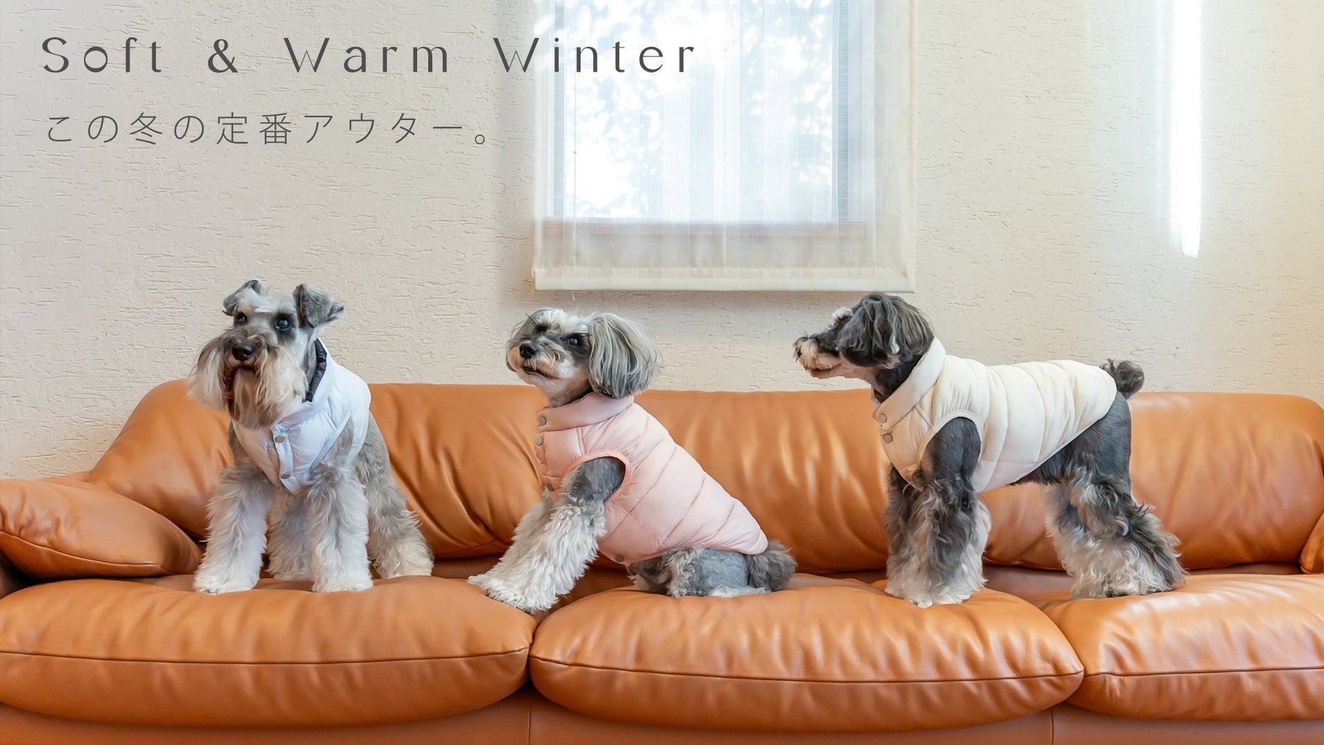 犬の冬服選び：日本の冬に合う、暖かい一着。ULVの魅力。 - pawdea