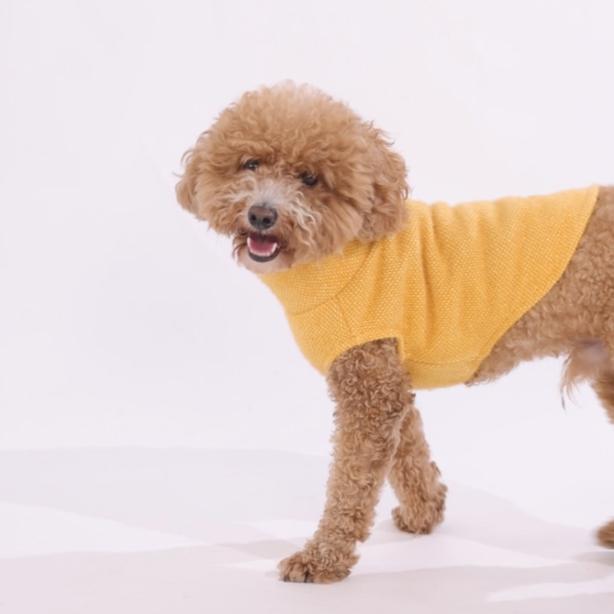 【10月30日より順次発送】FLUFFY VEST フラッフィーベスト - pawdeadogwear