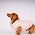 Load image into Gallery viewer, 【先行予約15％off】Ultra - Light Doggy Vest ウルトラライトドギーベスト　2024 - pawdeadogwear
