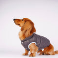 Gallery viewerに画像を読み込む, 【先行予約15％off】Ultra - Light Doggy Vest ウルトラライトドギーベスト　2024 - pawdeadogwear
