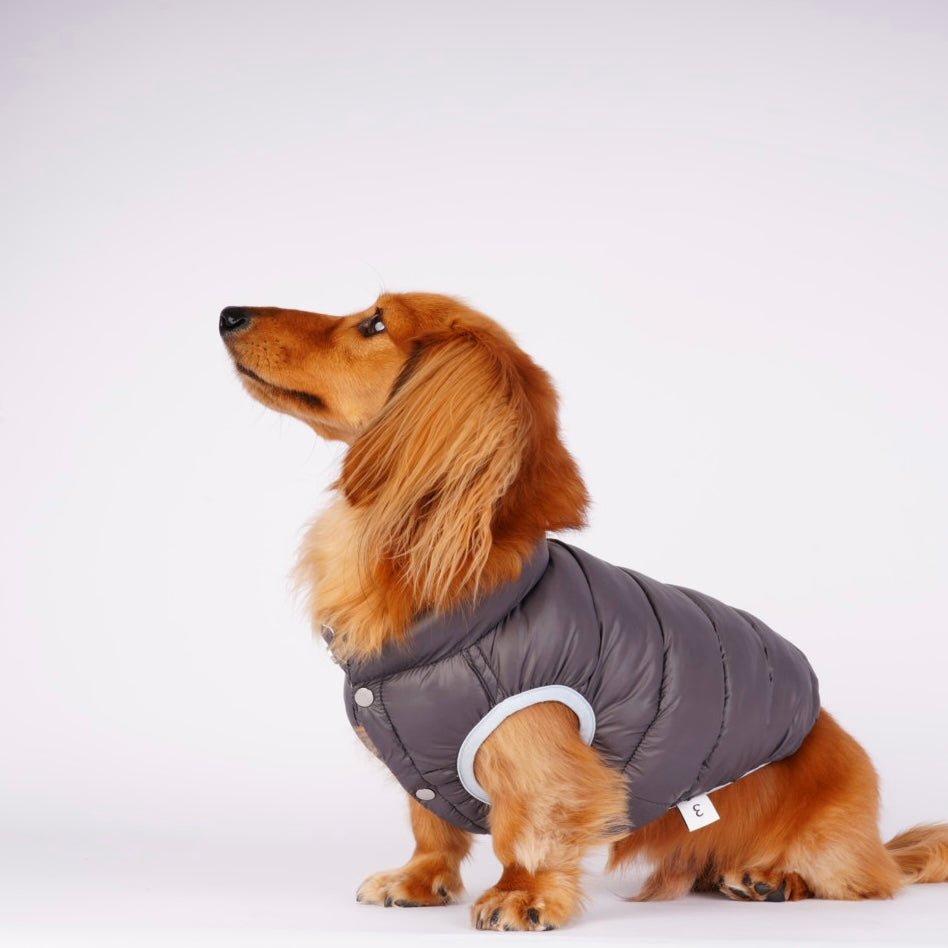 【先行予約15％off】Ultra - Light Doggy Vest ウルトラライトドギーベスト　2024 - pawdeadogwear