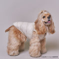 Load image into Gallery viewer, 【先行予約15％off】Ultra - Light Doggy Vest ウルトラライトドギーベスト　2024 - pawdeadogwear
