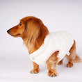 Gallery viewerに画像を読み込む, 【先行予約15％off】Ultra - Light Doggy Vest ウルトラライトドギーベスト　2024 - pawdeadogwear
