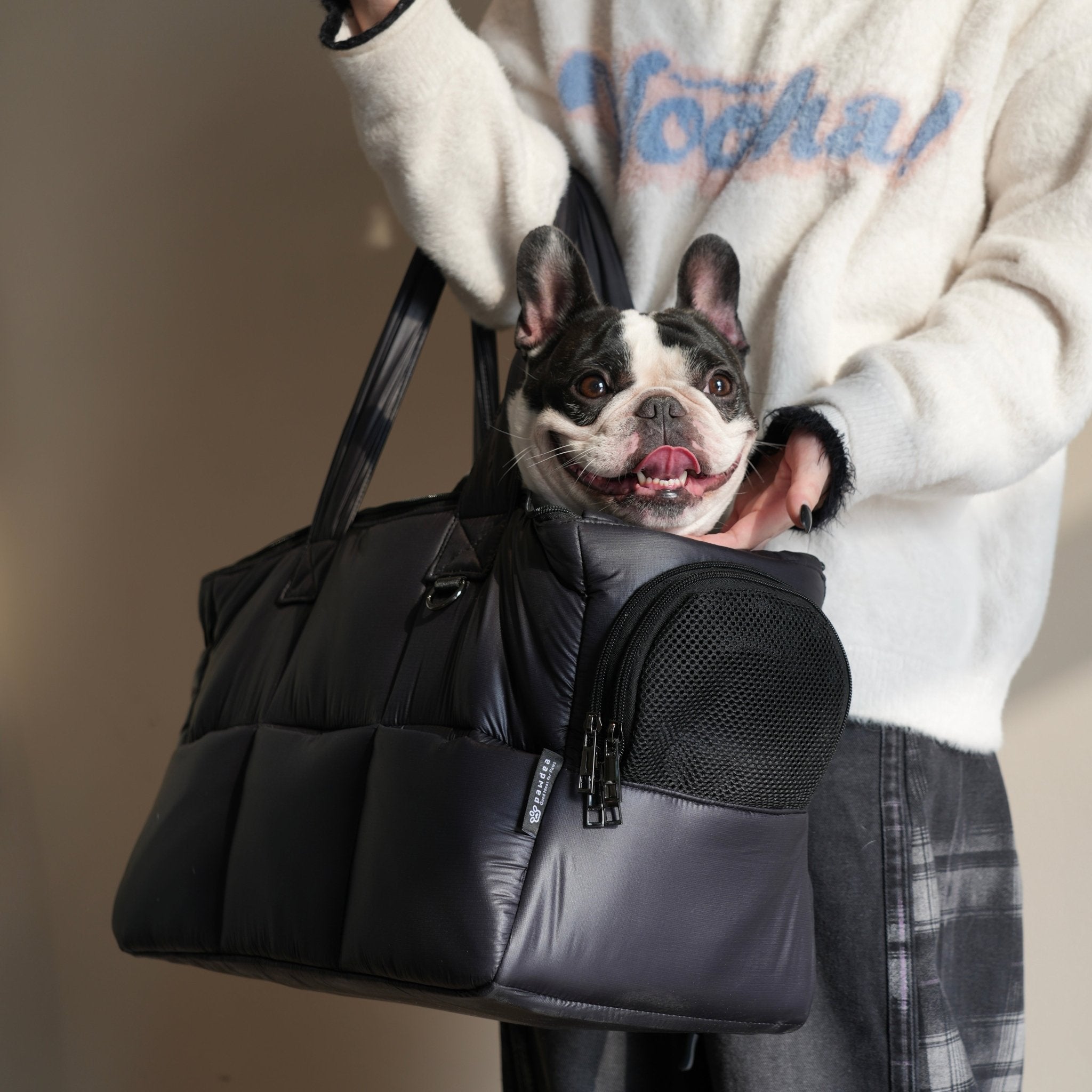 Air Nest ONE ペット用スリングバッグ – pawdea