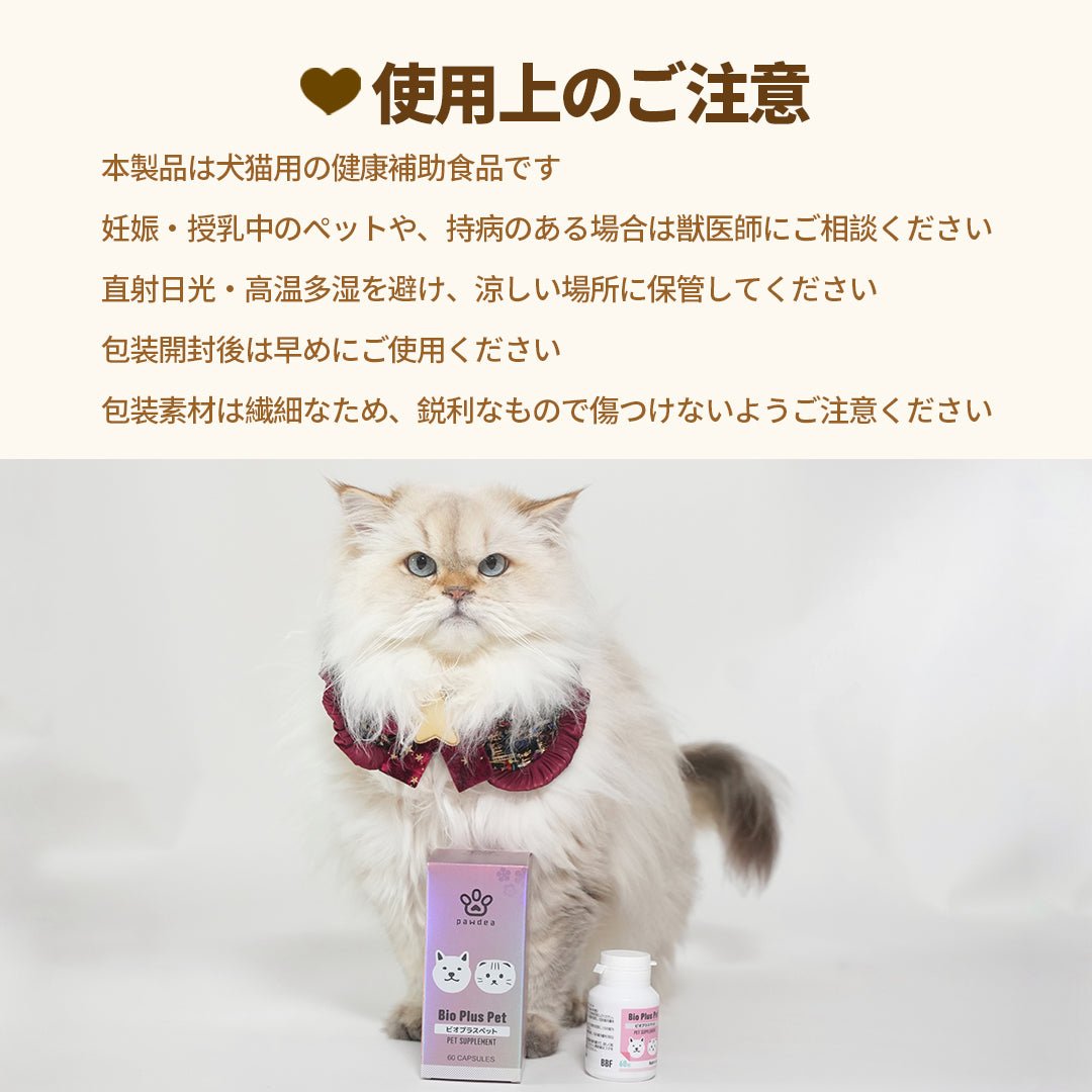 Bio Plus Pet バイオプラスペット - pawdeaPET SUPPLEMENT