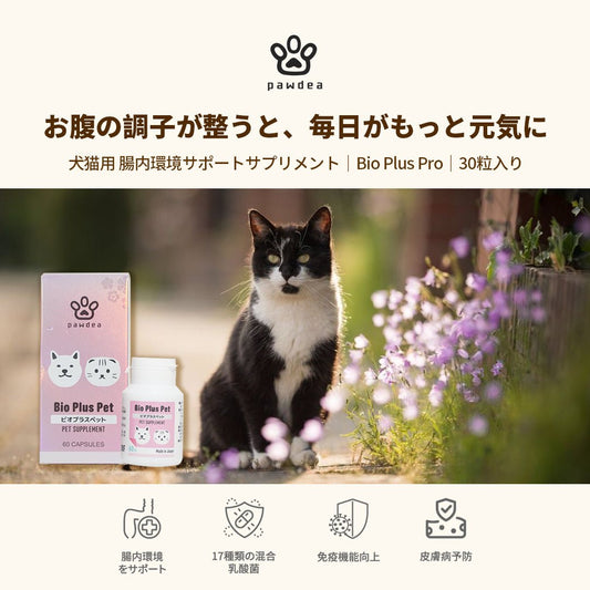 Bio Plus Pet バイオプラスペット - pawdeaPET SUPPLEMENT