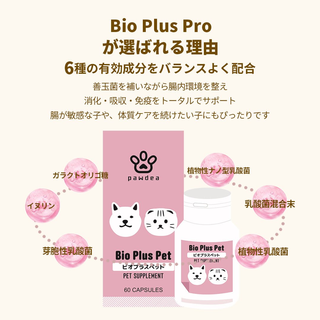 Bio Plus Pet バイオプラスペット - pawdeaPET SUPPLEMENT
