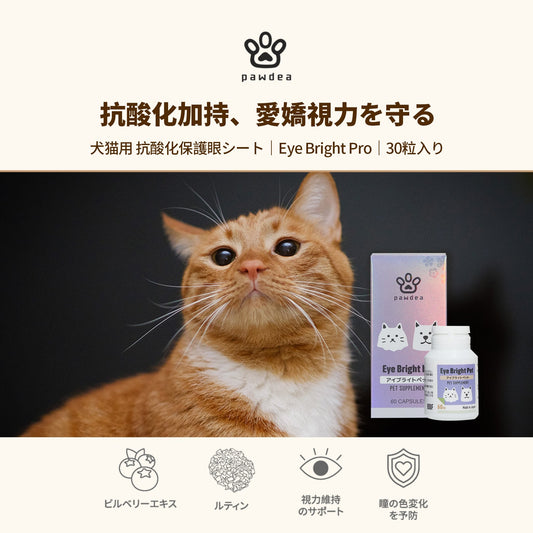 Eye Bright Pet アイブライトペット - pawdeaPET SUPPLEMENT