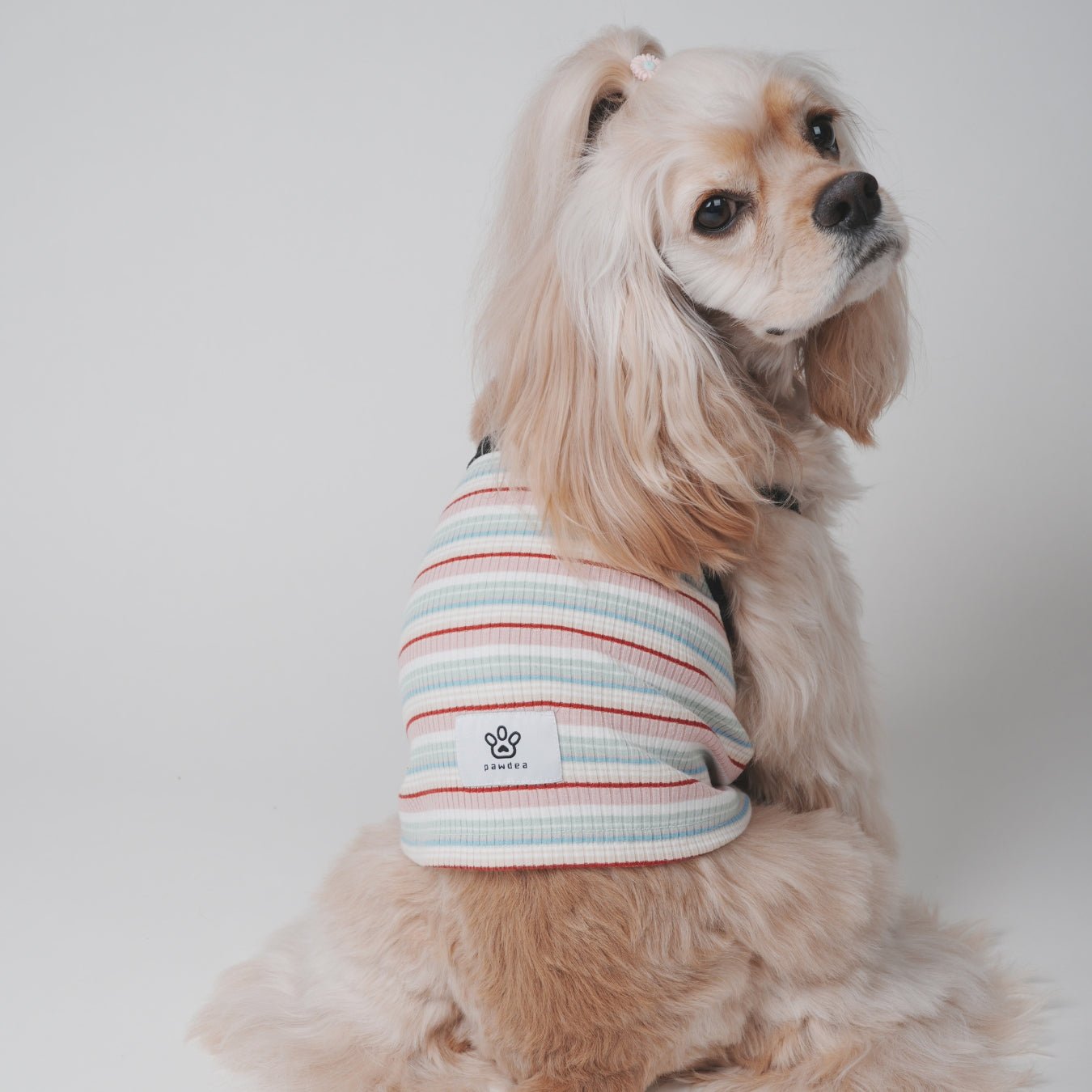 Summer Pup - Top サマーキャミソール - pawdeadogwear