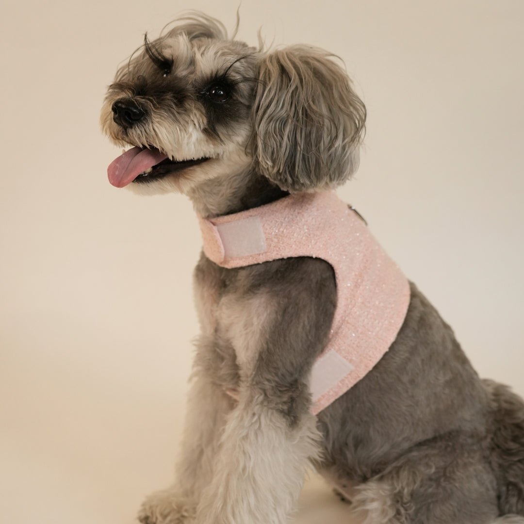 TWEED WEAR HARNESS　ツイードウェアハーネス - pawdeaペット用首輪・ハーネス