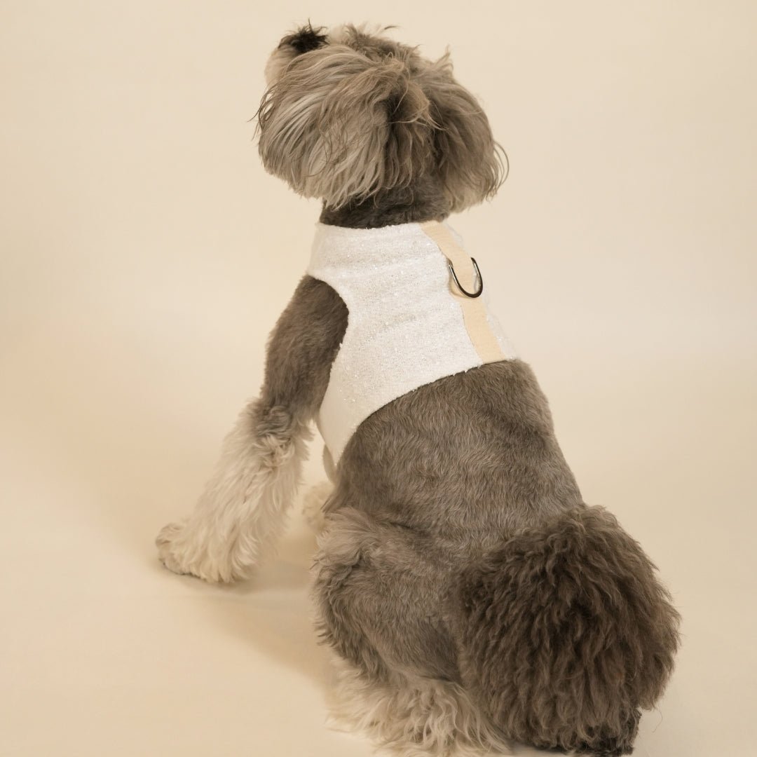 TWEED WEAR HARNESS　ツイードウェアハーネス - pawdeaペット用首輪・ハーネス