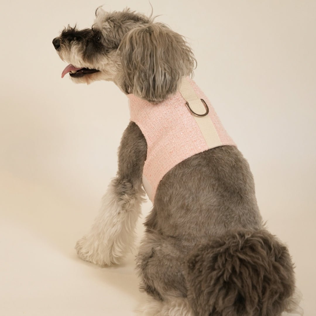 TWEED WEAR HARNESS　ツイードウェアハーネス - pawdeaペット用首輪・ハーネス