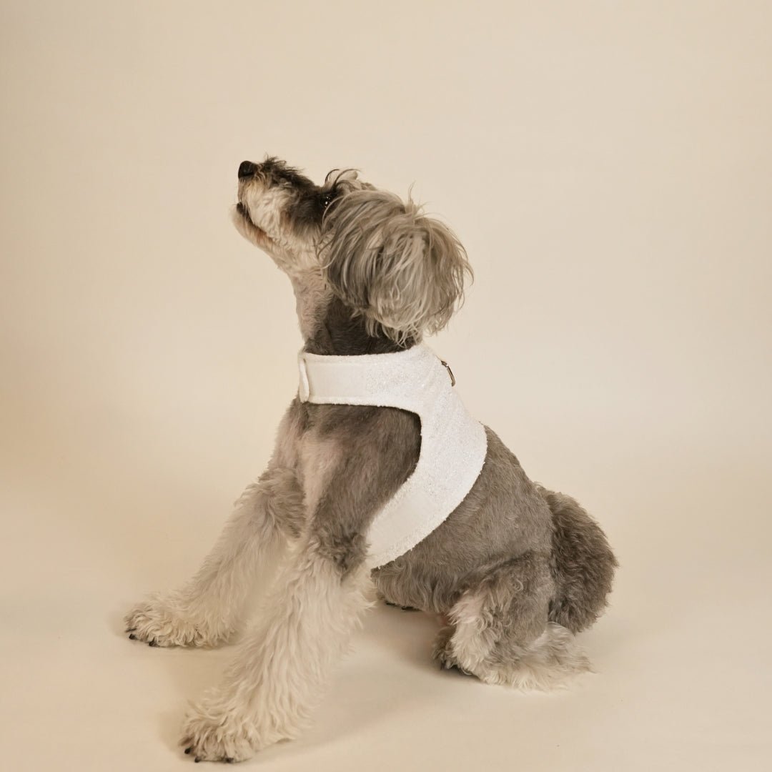 TWEED WEAR HARNESS　ツイードウェアハーネス - pawdeaペット用首輪・ハーネス