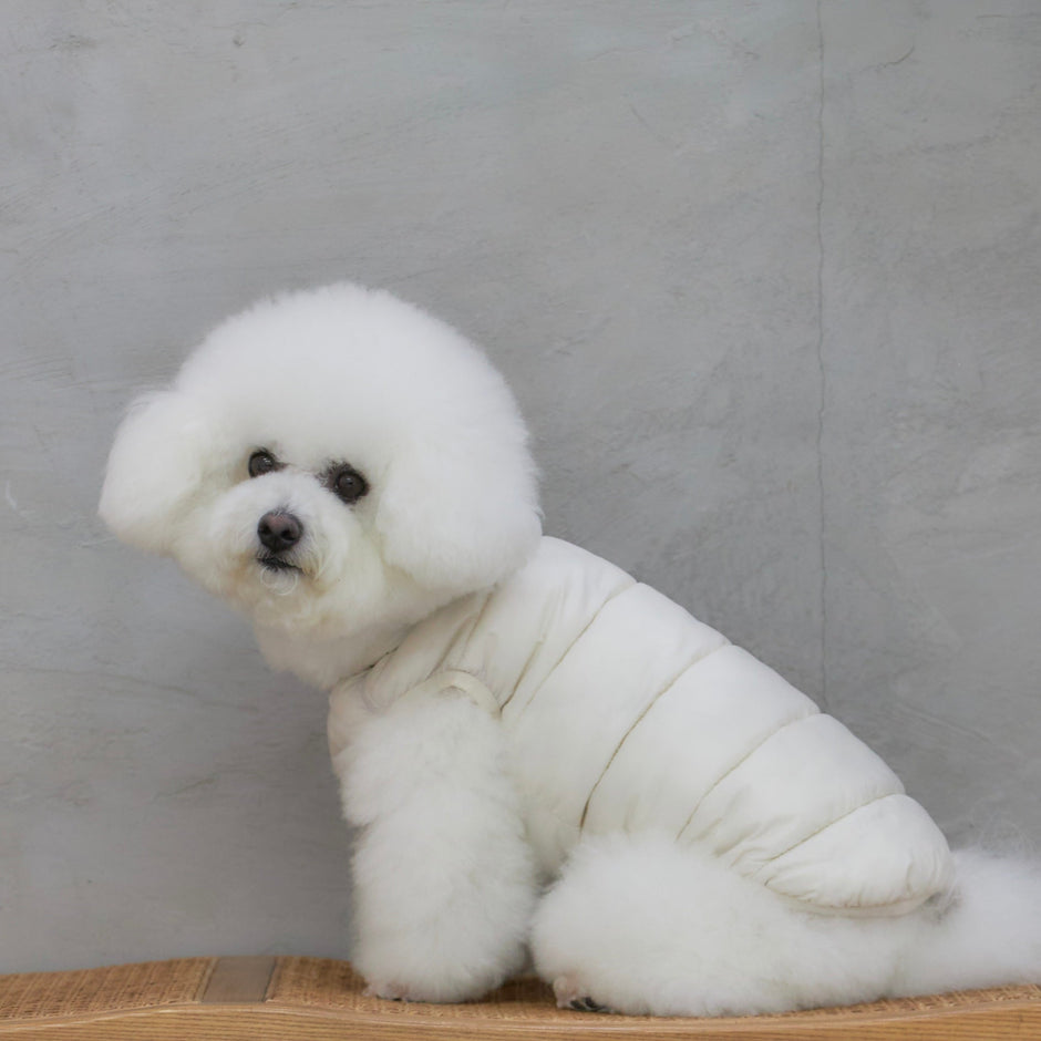 Ultra - Light Doggy Vest ウルトラライトドギーベスト　2025 - pawdeadogwear