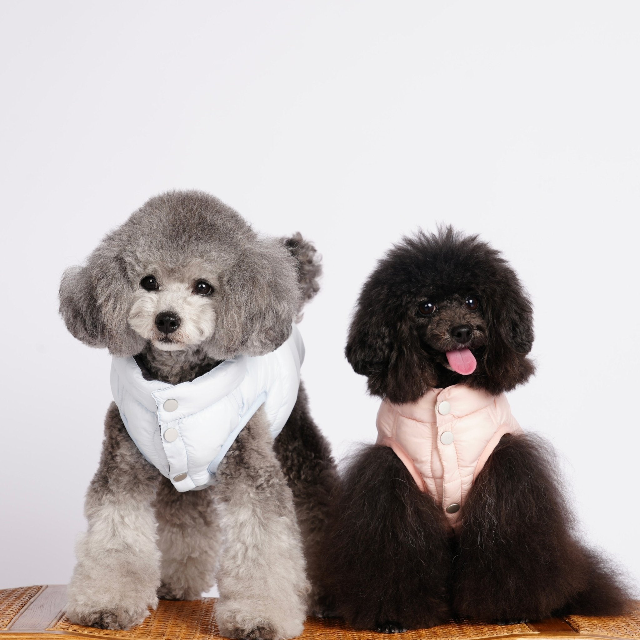 Ultra - Light Doggy Vest ウルトラライトドギーベスト　2025 - pawdeadogwear