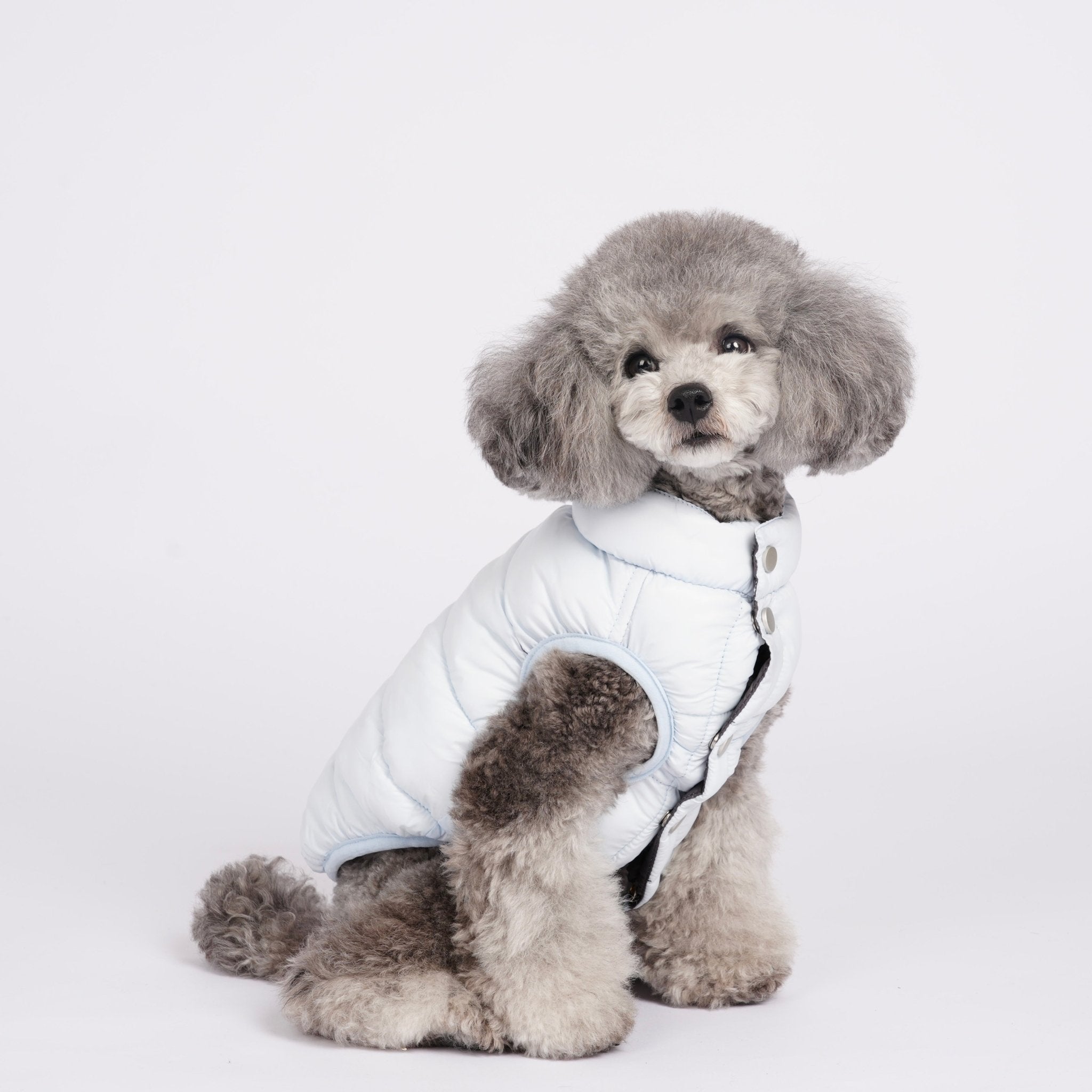 Ultra-Light Doggy Vest ウルトラライトドギーベスト – pawdea