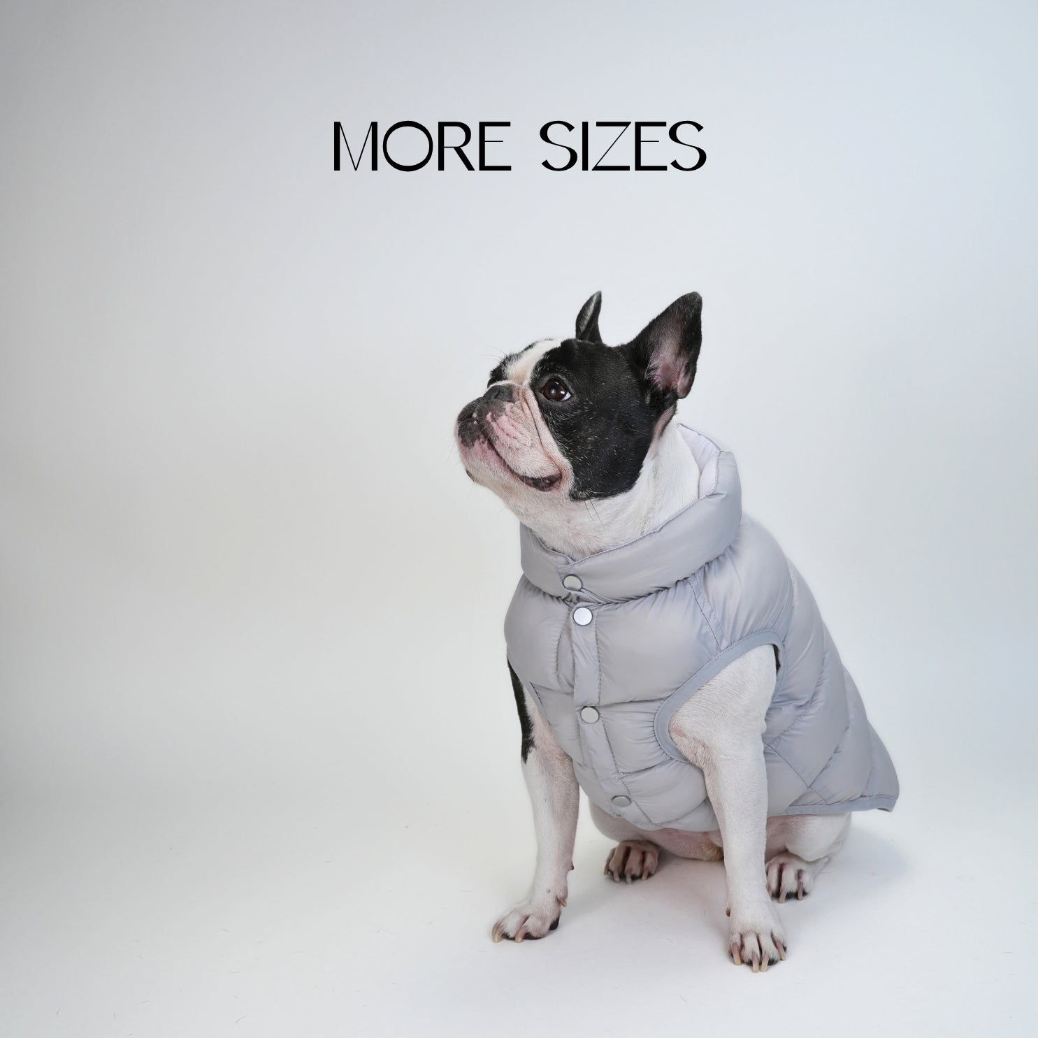 Ultra-Light Doggy Vest ウルトラライトドギーベスト 2025 – pawdea
