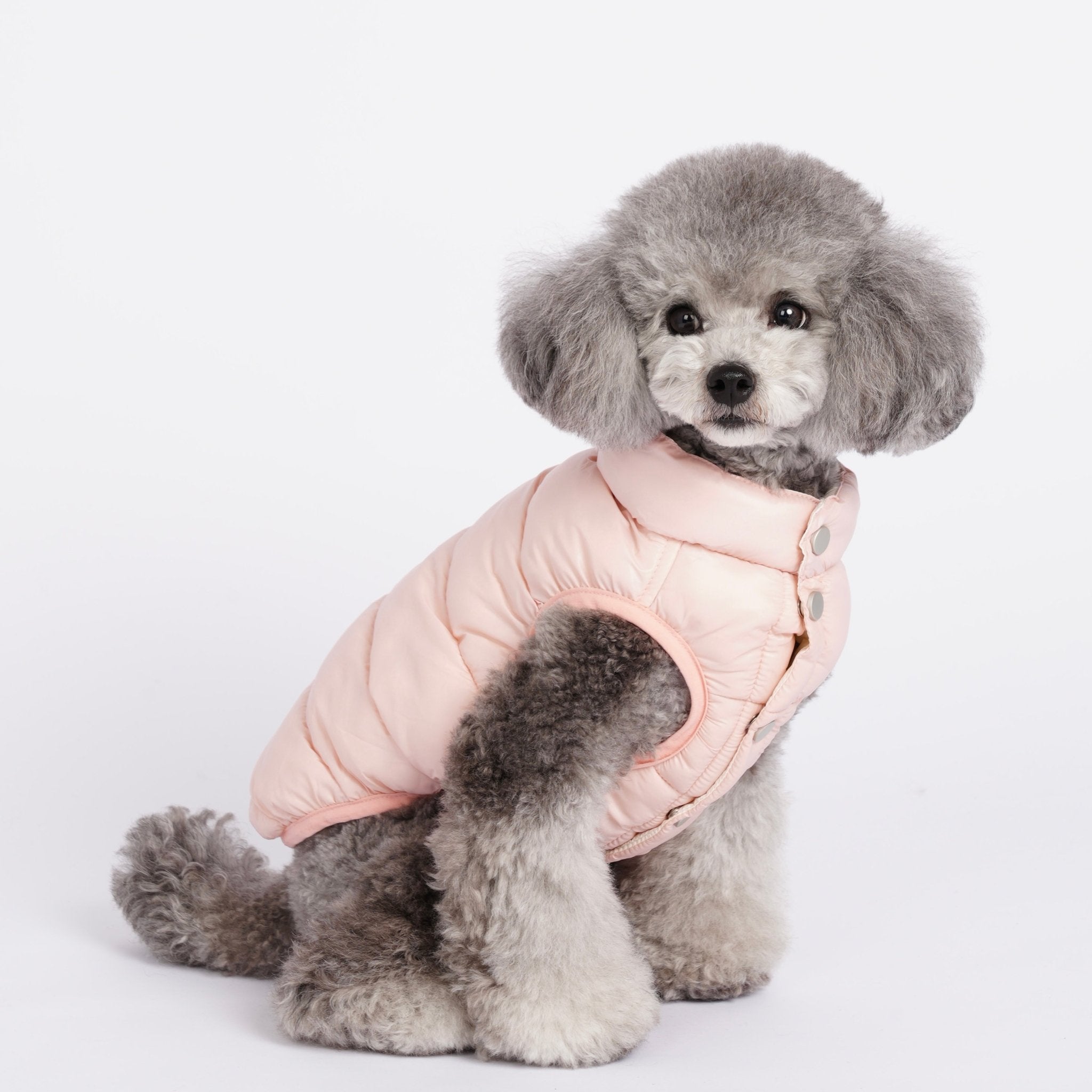 Ultra-Light Doggy Vest ウルトラライトドギーベスト – pawdea