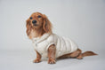 Gallery viewerに画像を読み込む, Ultra - Light Doggy Vest ウルトラライトドギーベスト　2025 - pawdeadogwear

