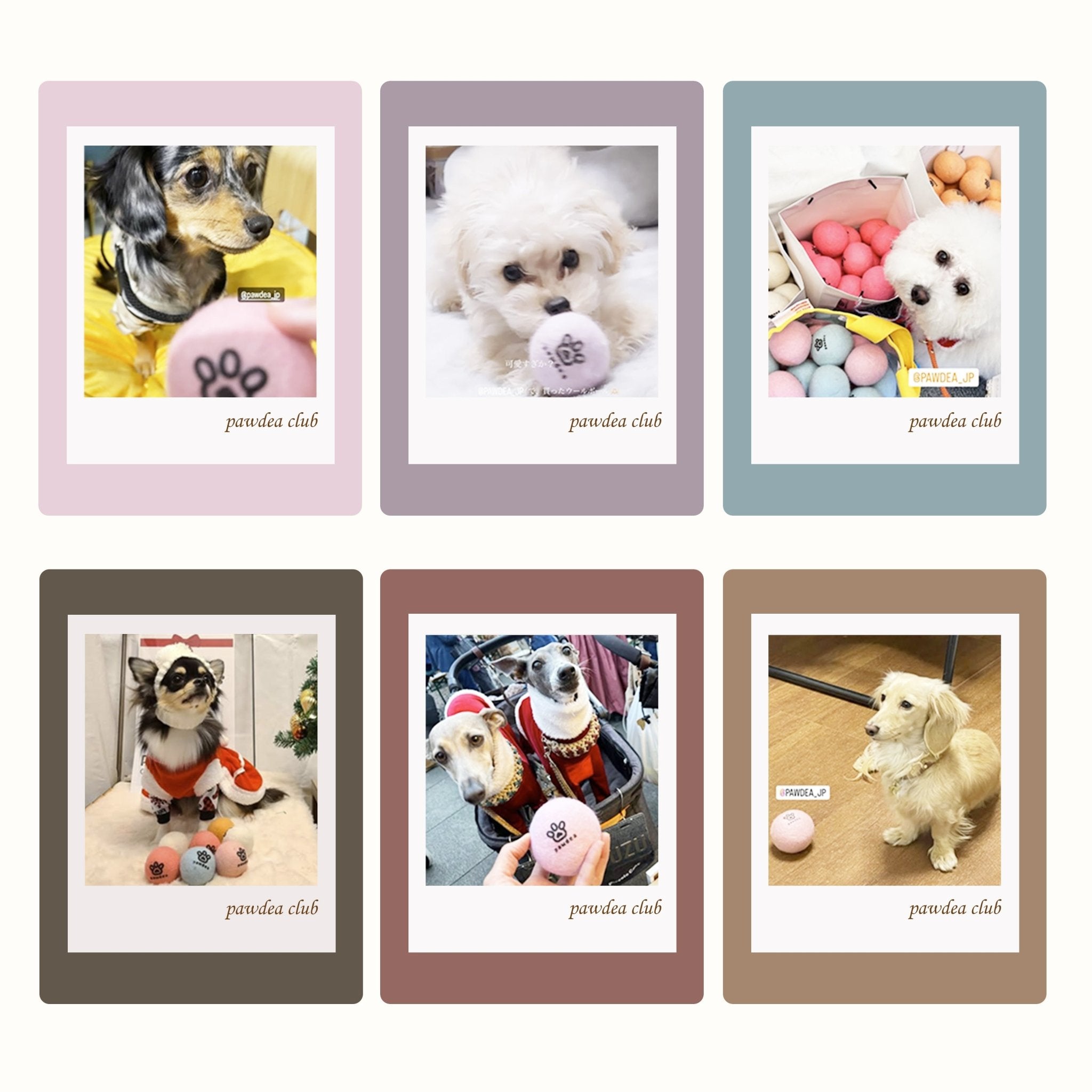 WOOL BALL マカロンウールボール – pawdea