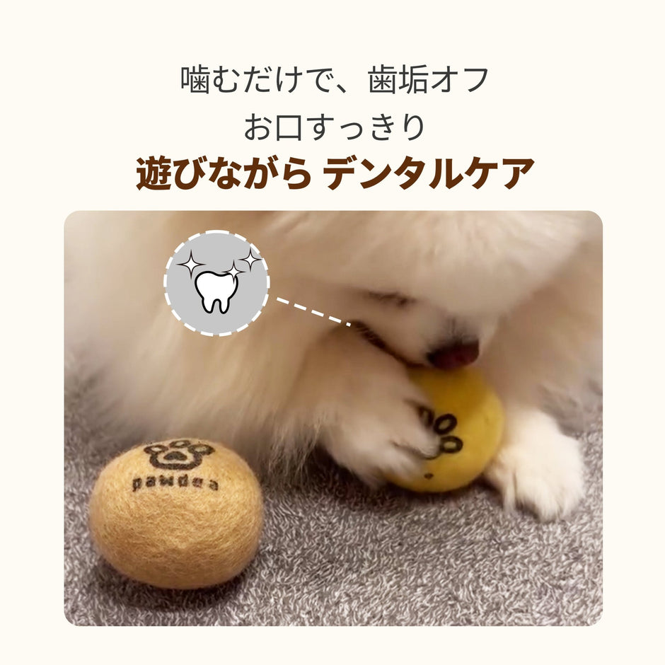 WOOL BALL マカロンウールボール - pawdeaおもちゃ