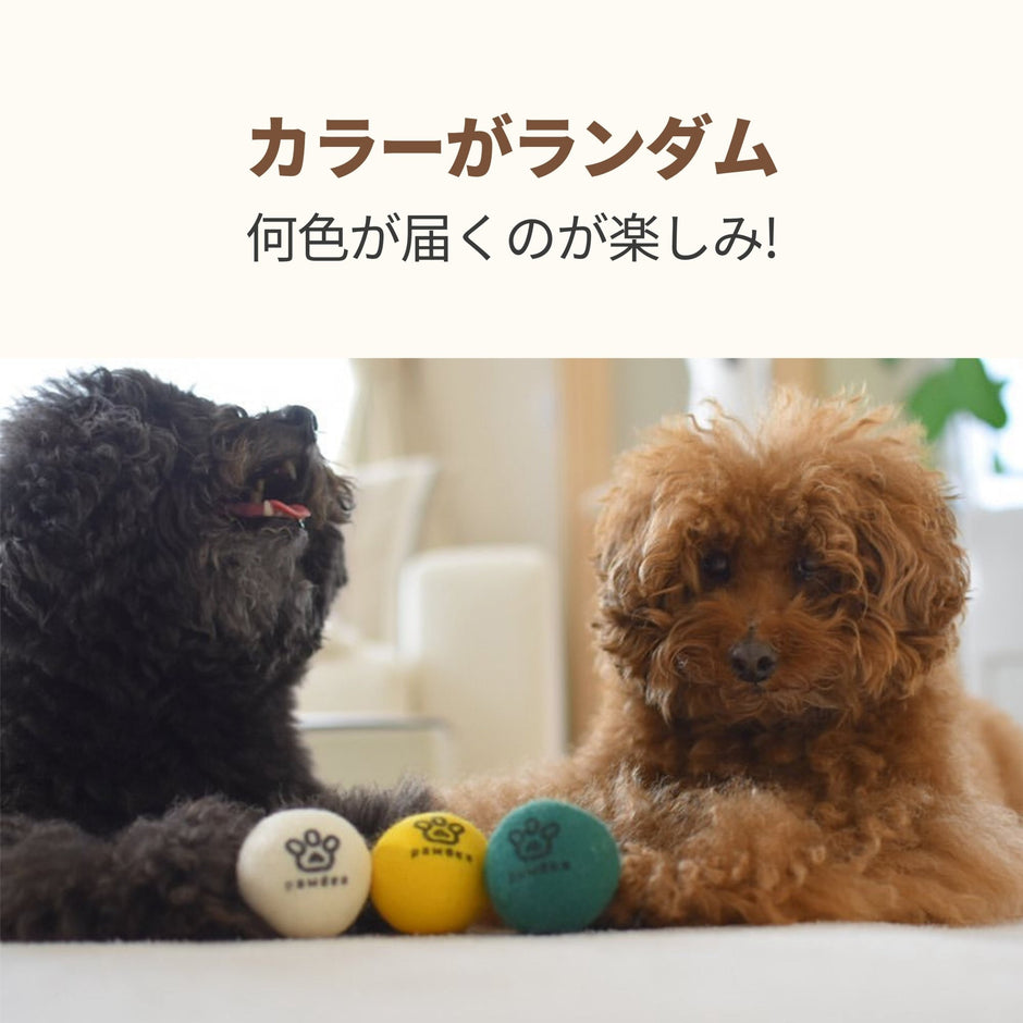 WOOL BALL マカロンウールボール - pawdeaおもちゃ