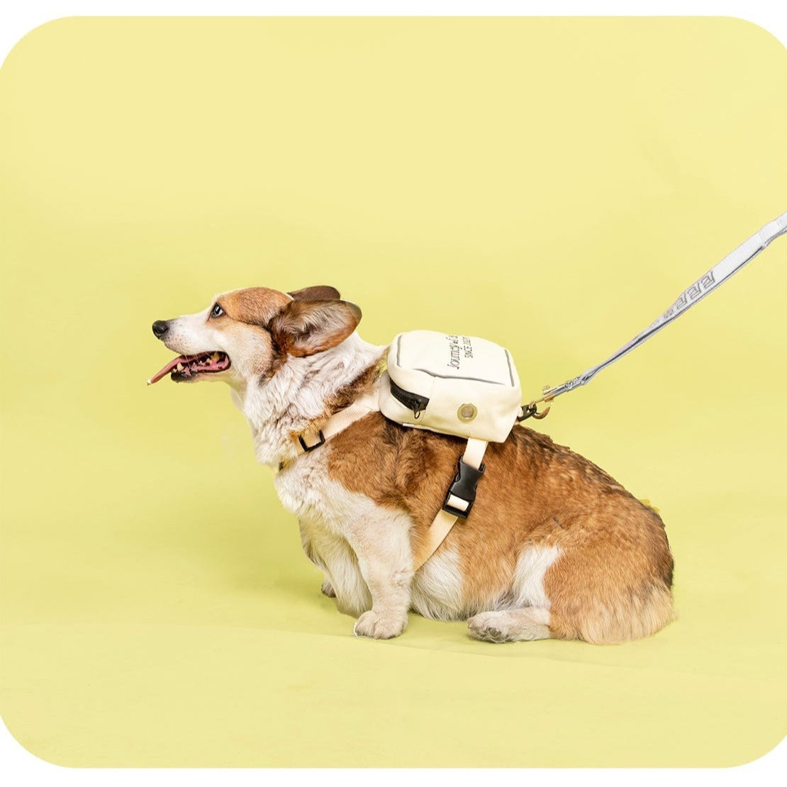 BACKPACK HARNESS リュックハーネス – pawdea