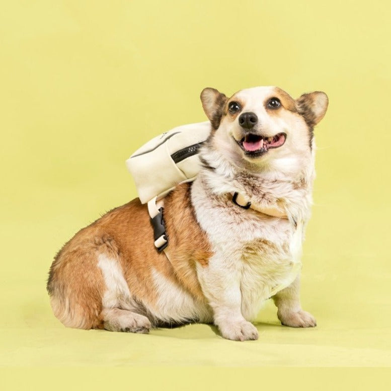 BACKPACK HARNESS リュックハーネス – pawdea