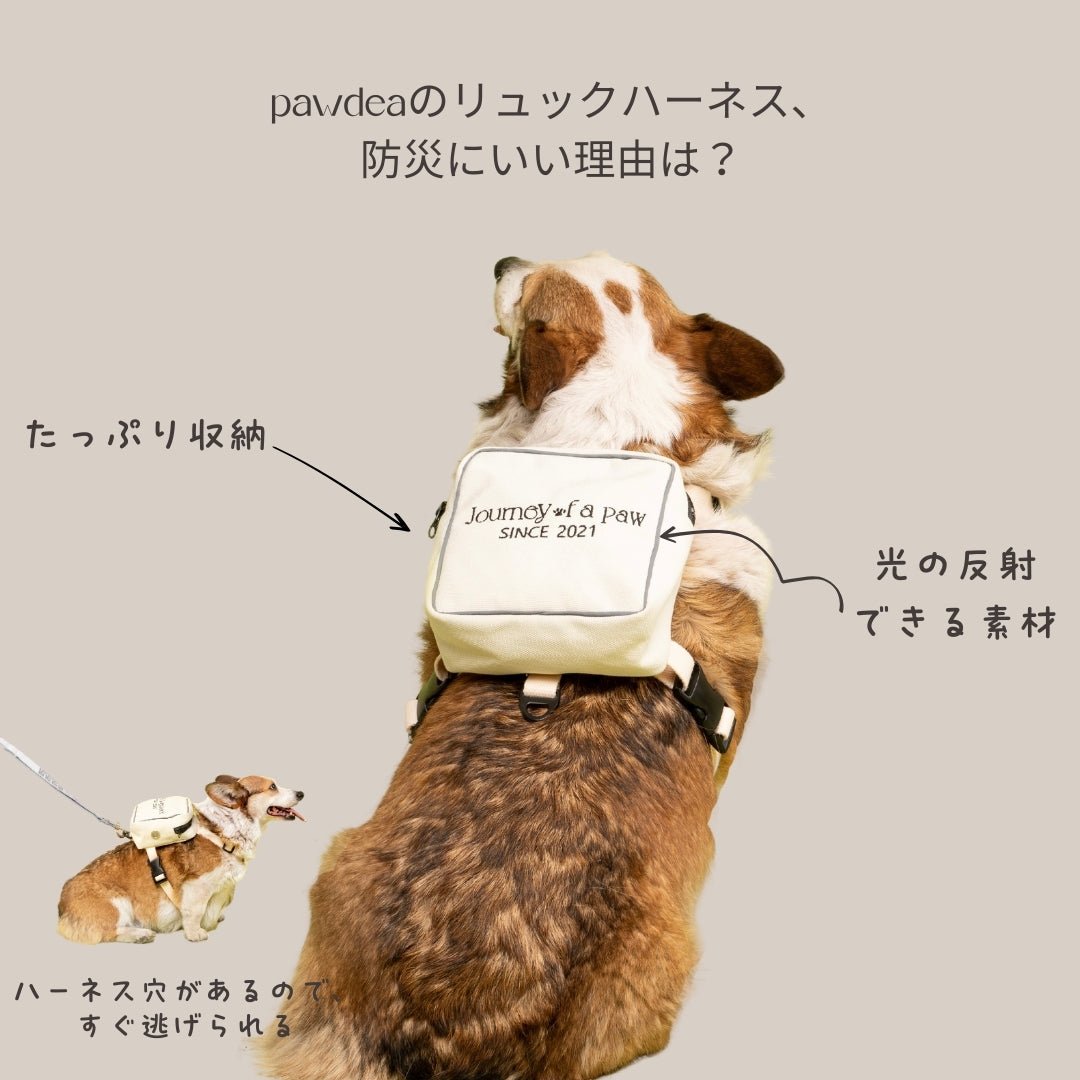 DOGGY EMERGENCY KIT 犬用防災リュック – pawdea