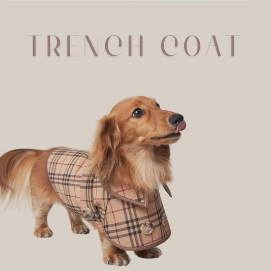 【再入荷】DOGGY TRENCH COAT ドギートレンチコート - pawdeadogwear